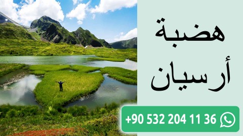 هضبة أرسيان